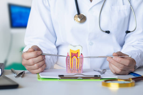 Best Cosmetic Emergency Dentistry in Vandalia, IL